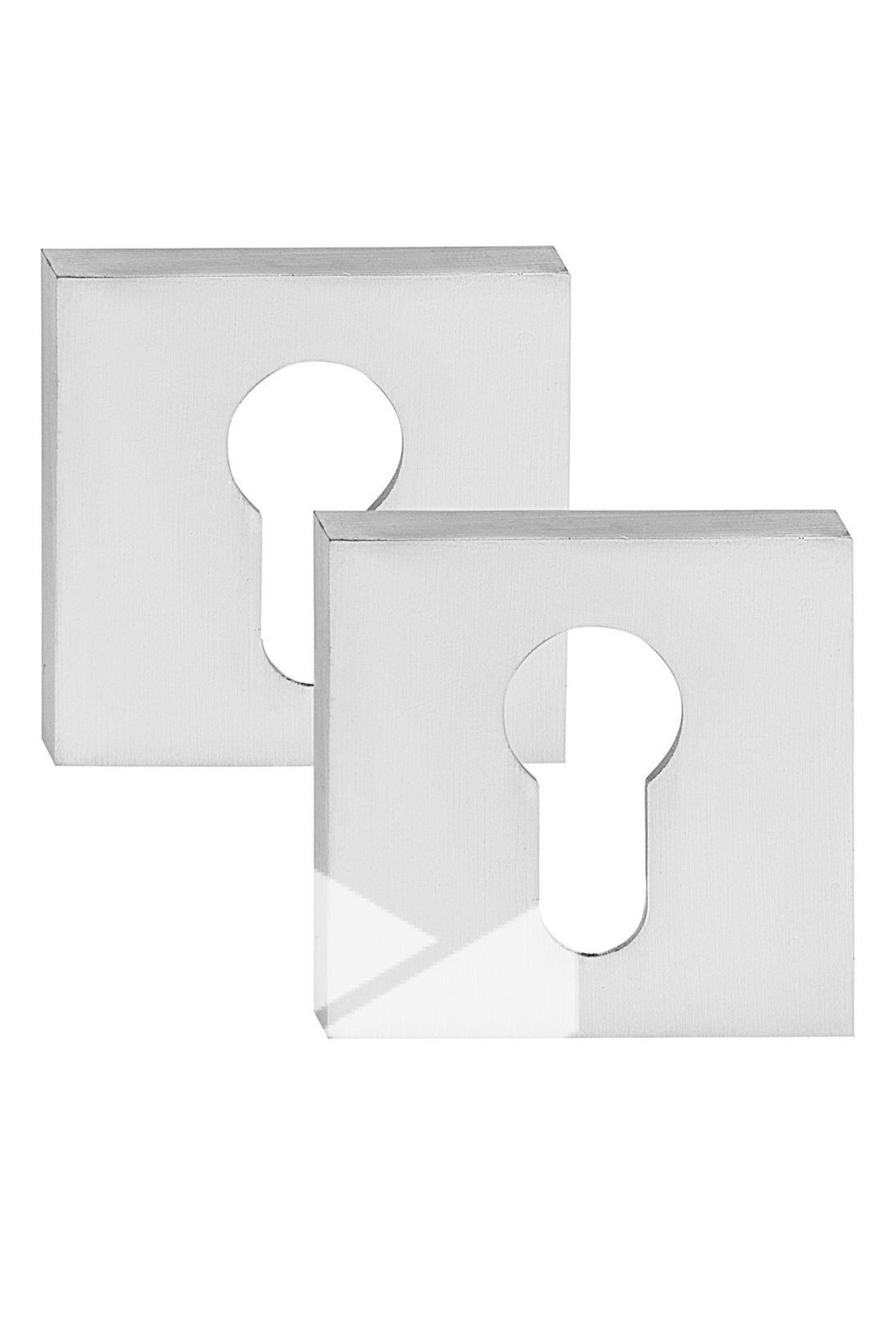 F0000000205_9D3x8Io Ключевая накладка CWS BSL, мат.серебро — изображение 1